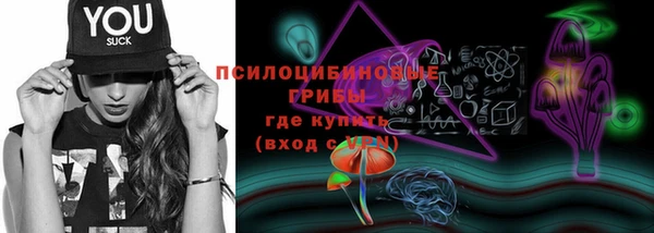 2c-b Кинешма