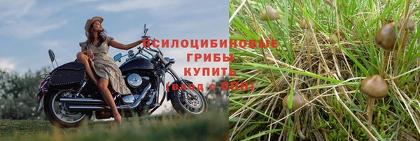 2c-b Кинешма