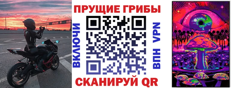 Купить закладки  Первоуральск  Галлюциногенные грибы MAGIC MUSHROOMS 